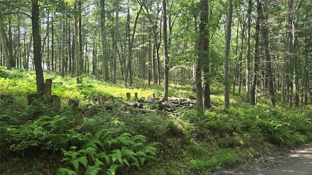 96 Ozierany, Glen Spey, NY 12737 - photo 3