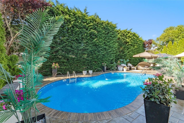 11 Jerry Ln, Glen Cove, NY 11542 - photo 41