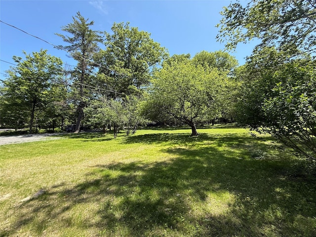 115 Schuyler Ave, Cragsmoor, NY 12420 - photo 2