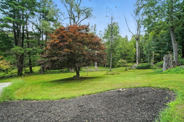 123 Robert Ln, Monticello, NY 12701 - photo 24