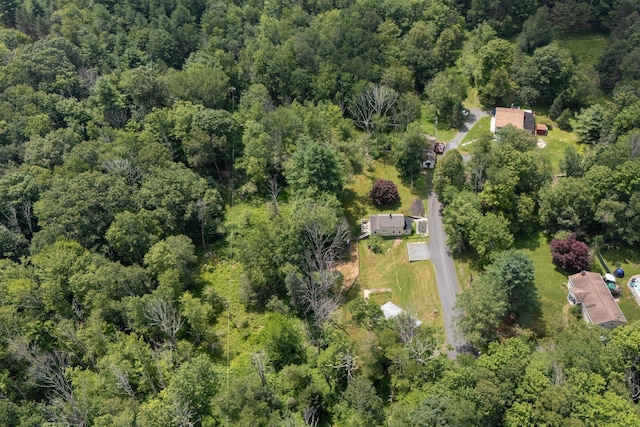 123 Robert Ln, Monticello, NY 12701 - photo 33