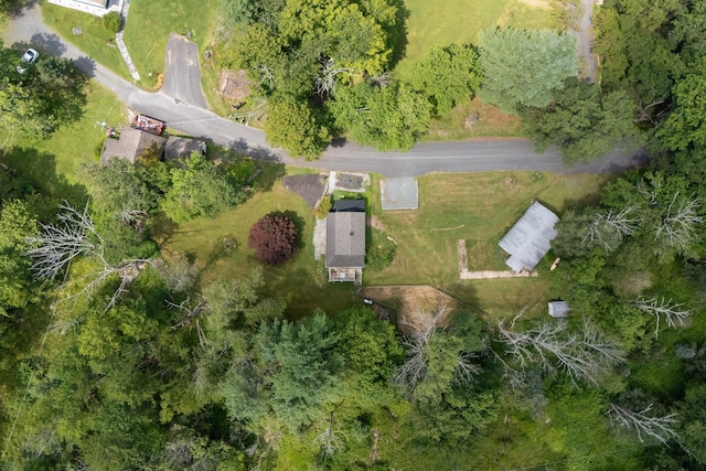 123 Robert Ln, Monticello, NY 12701 - photo 34