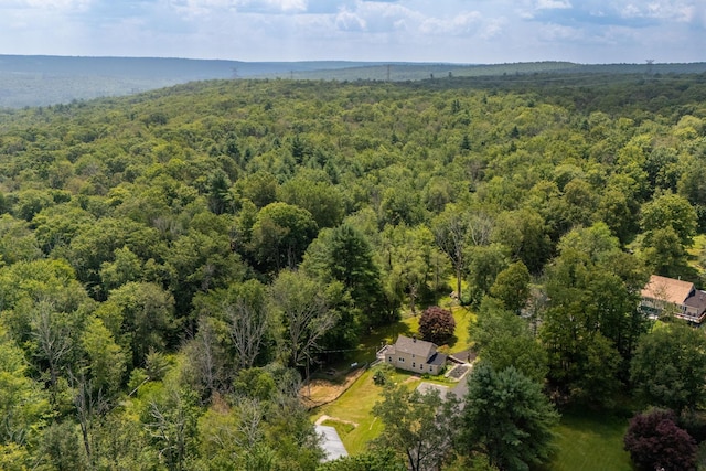 123 Robert Ln, Monticello, NY 12701 - photo 38