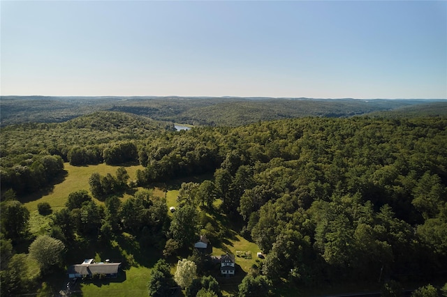 8144 State Route 52, Narrowsburg, NY 12764 - photo 41