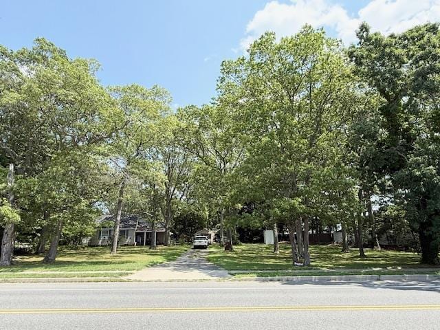 1101 Broadway Ave, Islip, NY 11741 - photo 12