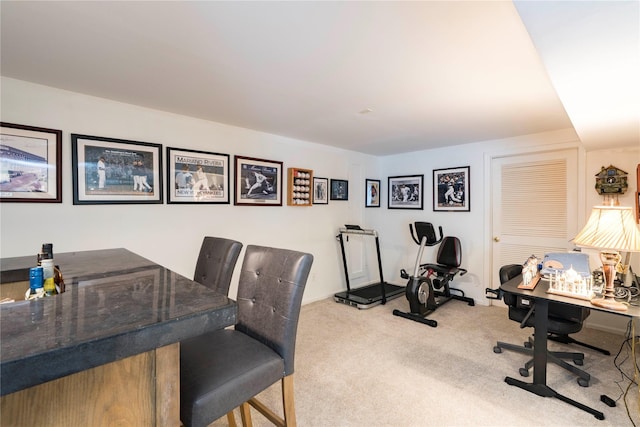 8 Skidmore Rd, Poughquag, NY 12570 - photo 28