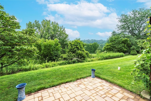 8 Skidmore Rd, Poughquag, NY 12570 - photo 33