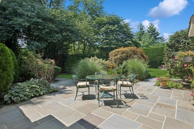 77 2nd St, Garden City, NY 11530 - photo 41