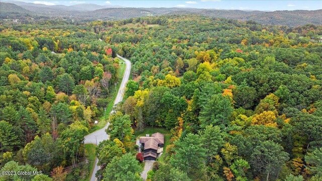 251 Turnpike Rd, White Creek, NY 12057 - photo 33