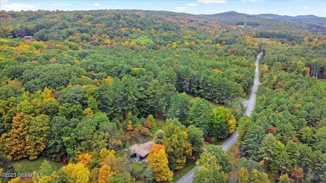 251 Turnpike Rd, White Creek, NY 12057 - photo 34