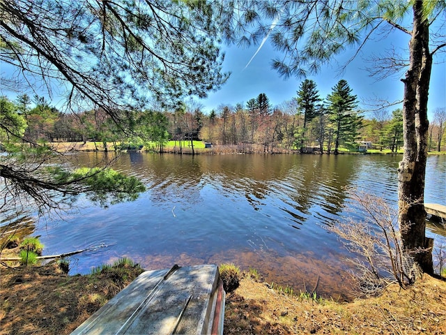 25 George Segar Rd, Swan Lake, NY 12783 - photo 1