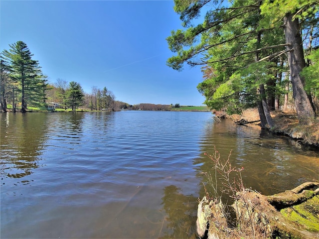 25 George Segar Rd, Swan Lake, NY 12783 - photo 6