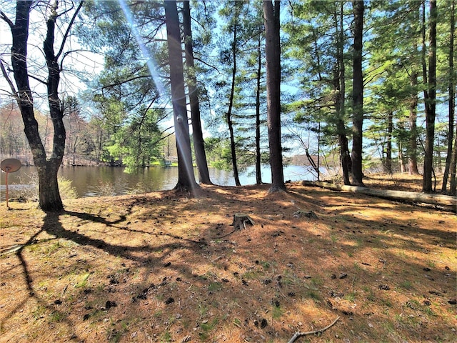 25 George Segar Rd, Swan Lake, NY 12783 - photo 7