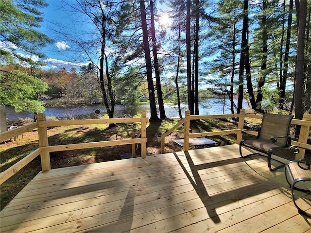 25 George Segar Rd, Swan Lake, NY 12783 - photo 9