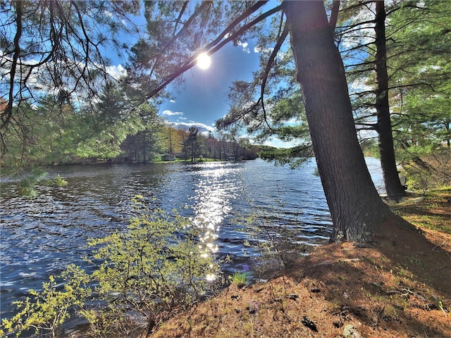 25 George Segar Rd, Swan Lake, NY 12783 - photo 18