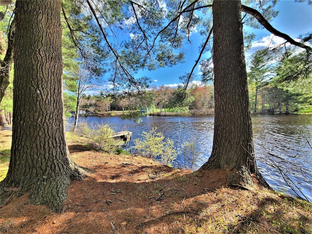 25 George Segar Rd, Swan Lake, NY 12783 - photo 20