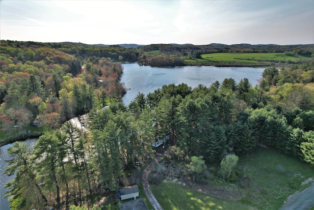 25 George Segar Rd, Swan Lake, NY 12783 - photo 24
