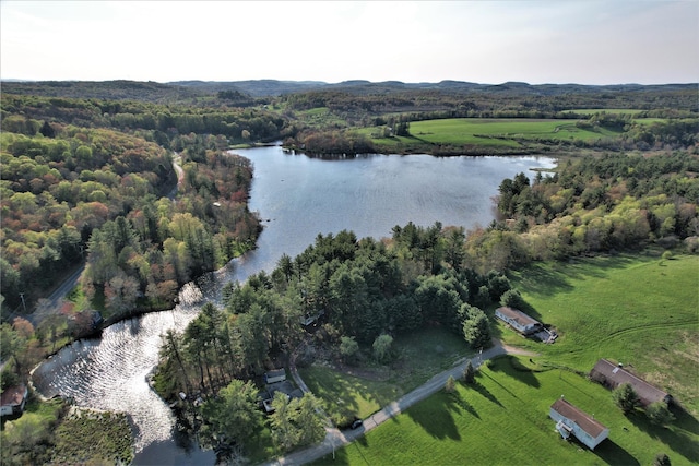 25 George Segar Rd, Swan Lake, NY 12783 - photo 25