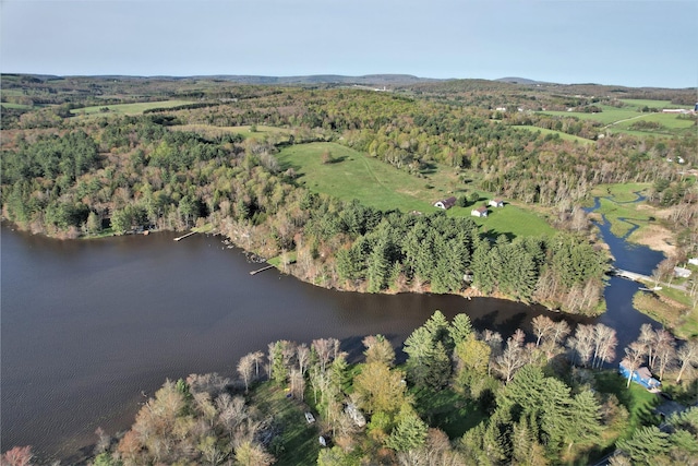 25 George Segar Rd, Swan Lake, NY 12783 - photo 26