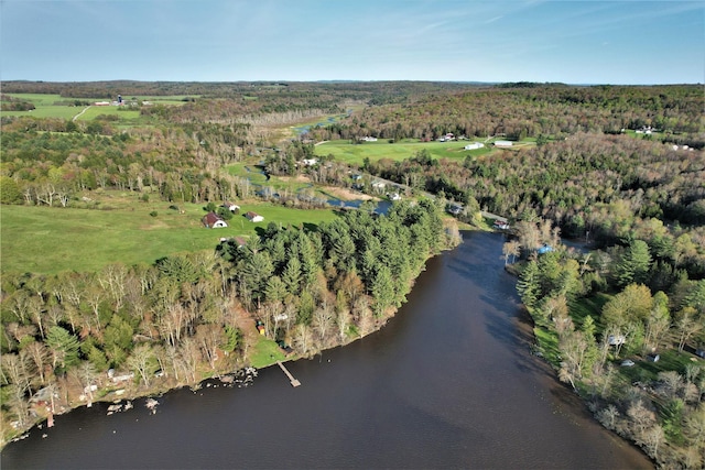 25 George Segar Rd, Swan Lake, NY 12783 - photo 27