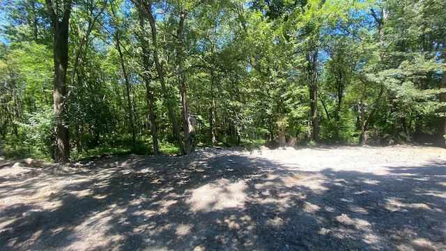 241 Upper N Rd, Highland, NY 12528 - photo 26