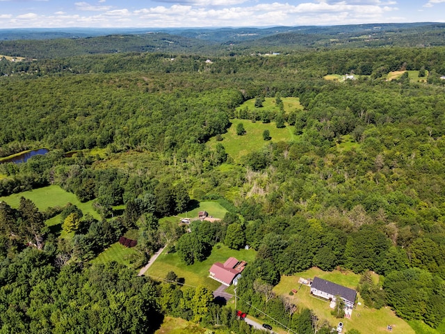 788 Fox Mountain Rd, White Sulphur Spring, NY 12758 - photo 2