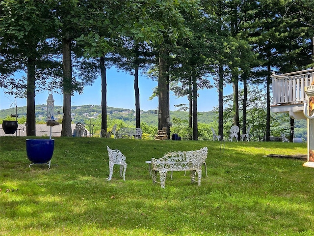 11 Rockridge Dr, Thiells, NY 10984 - photo 23