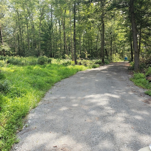 761 Mount Vernon Rd, Wurtsboro, NY 12790 - photo 3