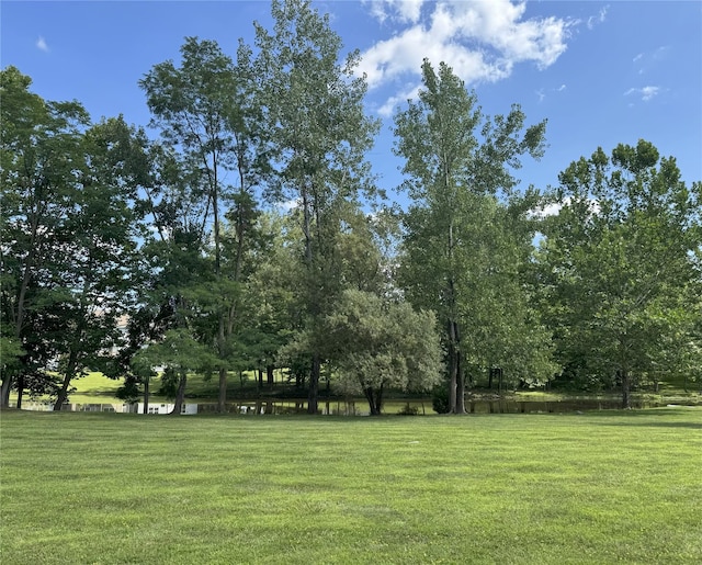 75 Muirfield Ct, Poughkeepsie, NY 12603 - photo 6