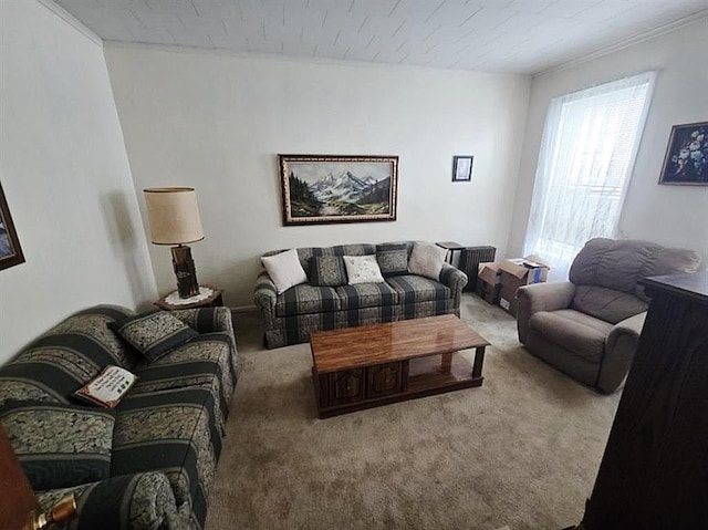 71-09 68th St, Glendale, NY 11385 - photo 23