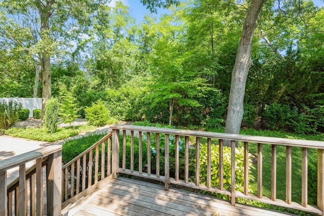 1901 Merion St, East Meadow, NY 11554 - photo 23
