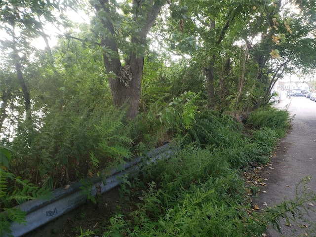 - photo 5
