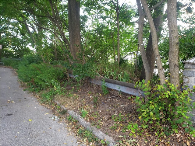  - photo 12