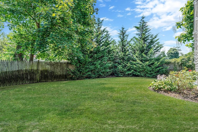 54 Gormley Ave, Roosevelt, NY 11575 - photo 28