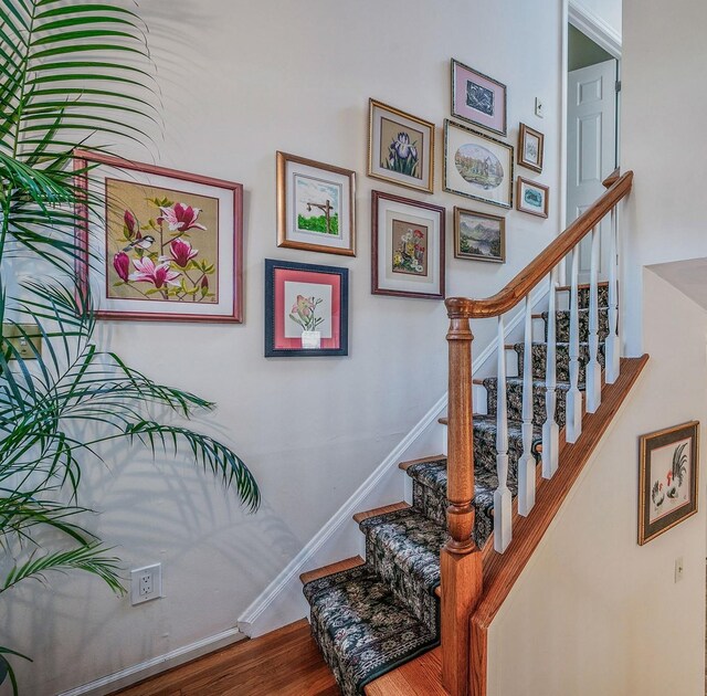 19 Coppertree Ln, Babylon, NY 11702 - photo 20