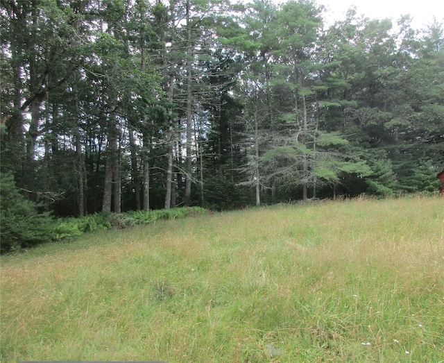 28 Whitehead Rd, Sparrowbush, NY 12780 - photo 2