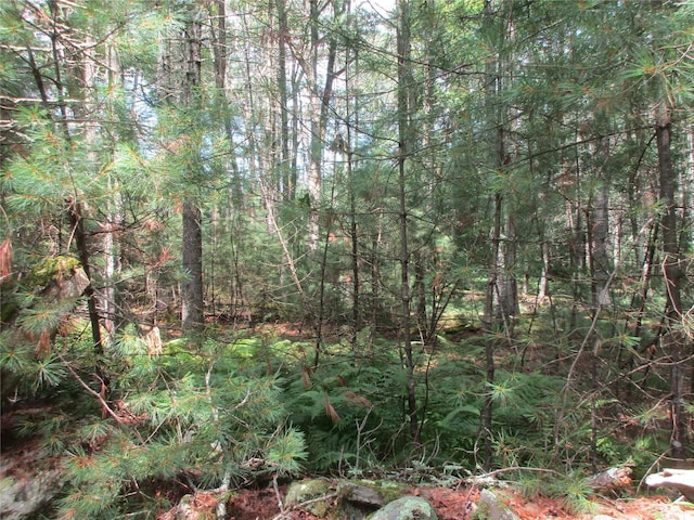 28 Whitehead Rd, Sparrowbush, NY 12780 - photo 4
