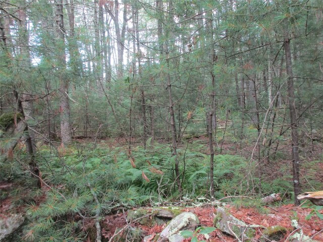 28 Whitehead Rd, Sparrowbush, NY 12780 - photo 7