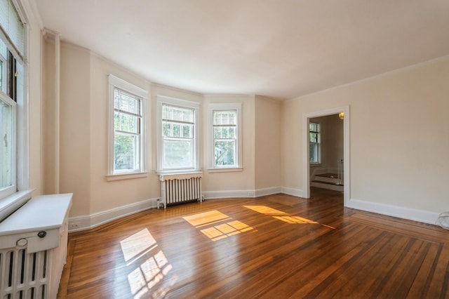49 High St, Locust Valley, NY 11560 - photo 6