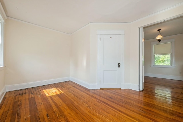 49 High St, Locust Valley, NY 11560 - photo 18