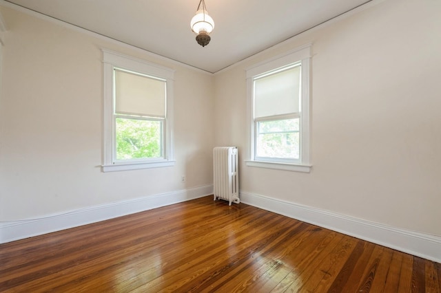 49 High St, Locust Valley, NY 11560 - photo 21