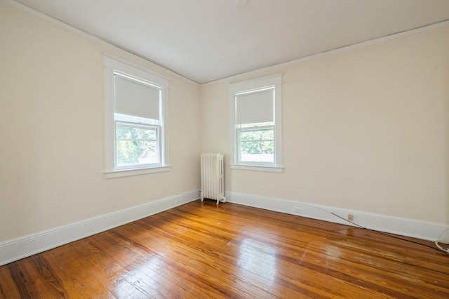 49 High St, Locust Valley, NY 11560 - photo 23