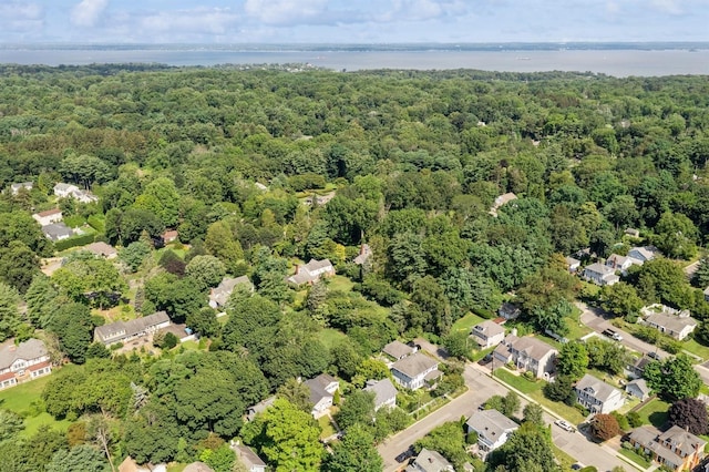 49 High St, Locust Valley, NY 11560 - photo 35