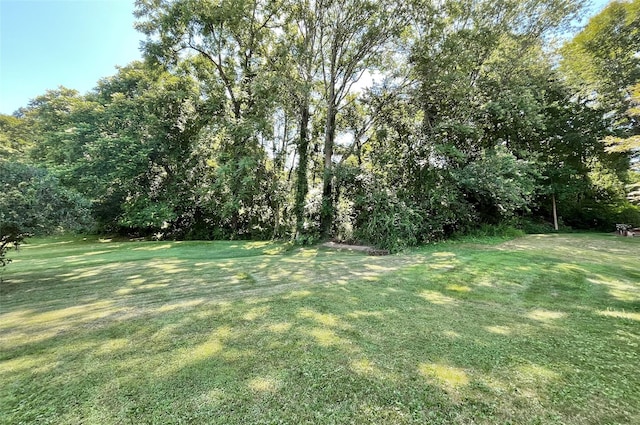 87 Sterling Pl, Highland, NY 12528 - photo 42