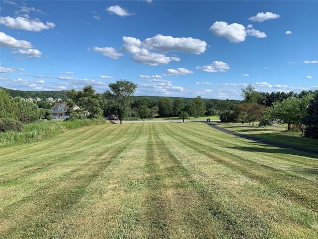 34 Grangevale Rd, Lagrangeville, NY 12540 - photo 28