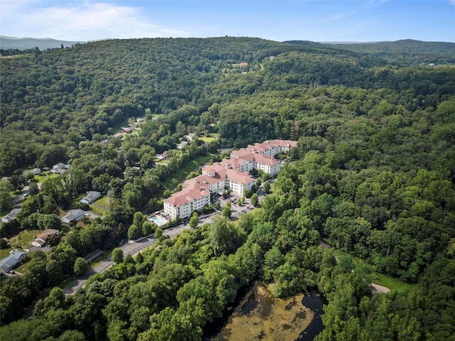 421 Trump Park, Shrub Oak, NY 10588 - photo 41