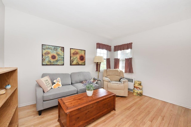 20 Devine Ave, Syosset, NY 11791 - photo 16