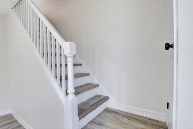 61-12 80th Ave, Glendale, NY 11385 - photo 11