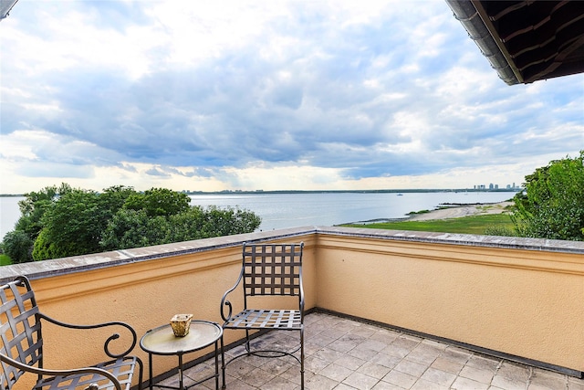 5 Half Moon Ln, Sands Point, NY 11050 - photo 19