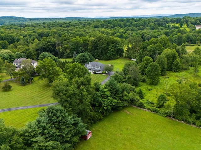 28 Feiertag Rd, Middletown, NY 10941 - photo 46
